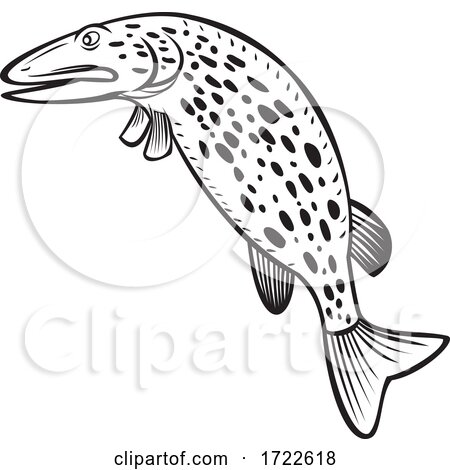 Pike Image. Northern Pike. Fish Monster. Sketch For Mascot, Logo Or Symbol.  Pike Fishing. Sport Fishing Club. Vector Graphics To Design Royalty Free  SVG, Cliparts, Vectors, and Stock Illustration. Image 162535348.