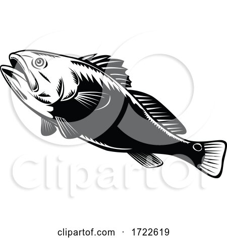 Red Drum Spottail Bass Redfish Channel Bass or Puppy Drum Jumping Woodcut Black and White Retro by patrimonio