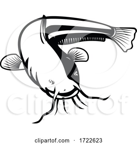 Sheatfish or Wels Catfish Swimming Retro Woodcut Black and White by patrimonio