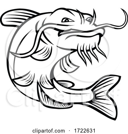 Channel Catfish Ictalurus Punctatus or Channel Cat Jumping up Cartoon Black and White by patrimonio