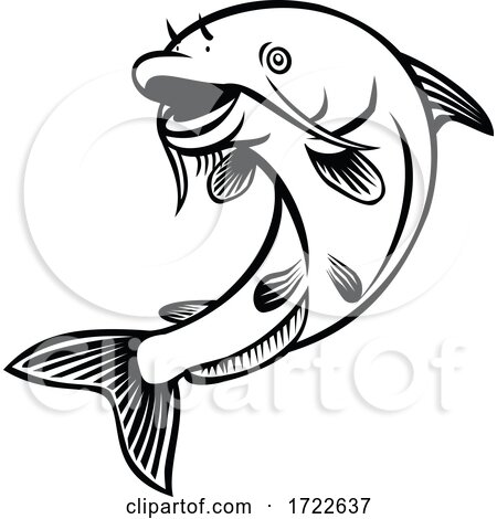 Blue Catfish Ictalurus Furcatus Jumping up Cartoon Black and White by patrimonio