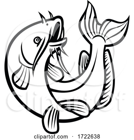 Blue Catfish Ictalurus Furcatus Jumping Cartoon Black and White by patrimonio