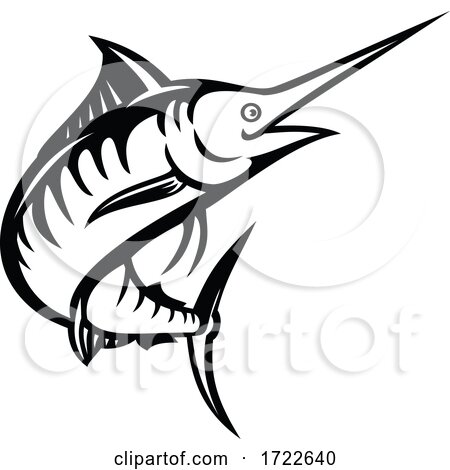 Indo-Pacific Blue Marlin Swimming Upward Stencil Retro Black and White by patrimonio