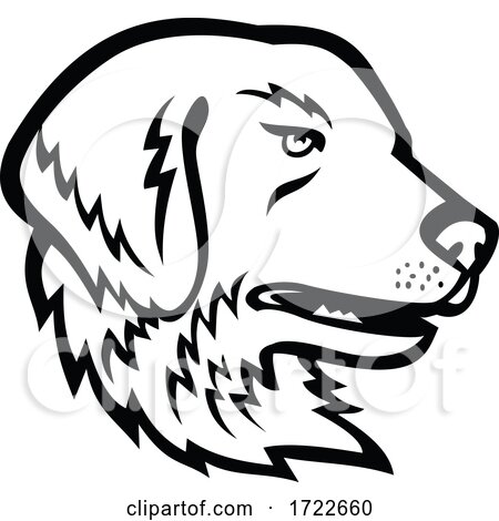 Head of Great Pyrenees Dog or Pyrenean Mountain Dog Black and White Mascot by patrimonio