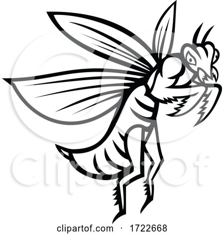 Praying Mantis Flying Side View Black and White Mascot by patrimonio