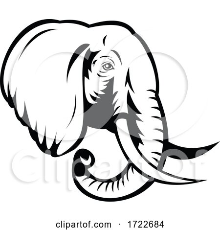 African Elephant Loxodonta African Bush Elephant or African Forest Elephant Head Stencil Black and White by patrimonio