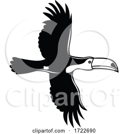Toco Toucan Ramphastos Toco Common Toucan or Giant Toucan Flying Stencil Black and White Retro Style by patrimonio