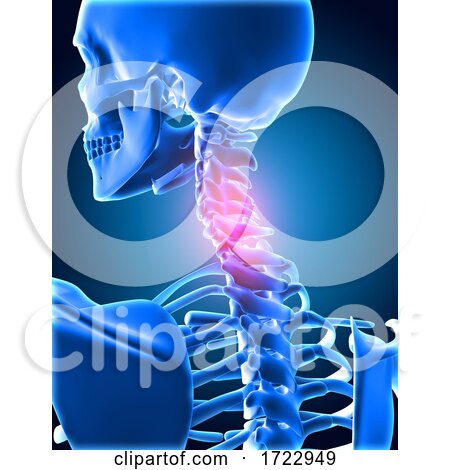 3D Medical Background of Skeletong with Neck Bones Highlighted by KJ Pargeter