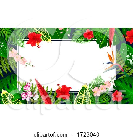 Tropical Foliage Border by Vector Tradition SM