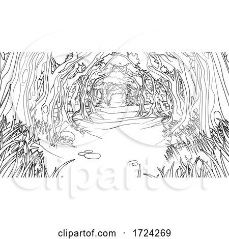 Forest Woodland Trees Path Coloring Book Scene by AtStockIllustration