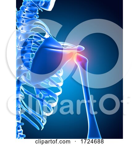 3D Medical Background of a Skeleton with Shoulder Bone Highlighted by KJ Pargeter