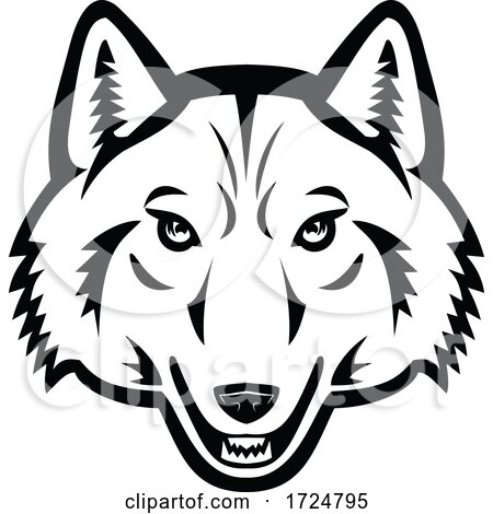 Head of Artic Wolf Front View Mascot Black and White by patrimonio