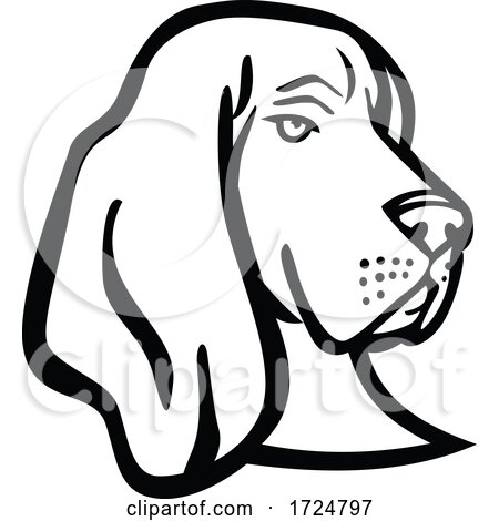 Head of a Basset Hound or Scent Hound Side View Mascot Retro Black and White by patrimonio
