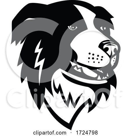 Head of Border Collie or Scottish Sheepdog Dog Mascot Black and White by patrimonio