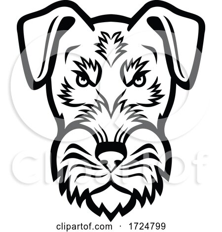 Head of Angry Jagdterrier Hunting Terrier or German Hunt Terrier Mascot Black and White by patrimonio