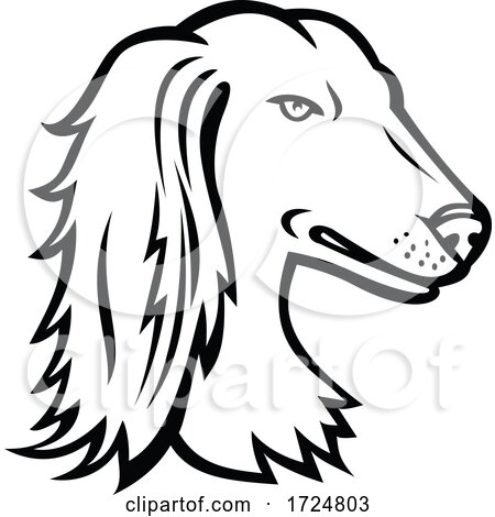 Head of Saluki Tazi or Persian Greyhound Mascot Side View Retro Black and White by patrimonio