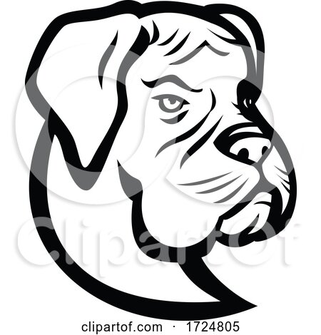 Head of Boxer Dog German Boxer or Deutscher Boxer Mascot Black and White by patrimonio