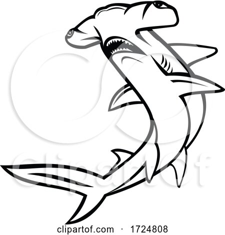 Scalloped Hammerhead Shark or Sphyrna Lewini Swimming up Mascot and White by patrimonio