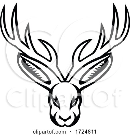 Head of a Jackalope Front View Mascot Black and White by patrimonio