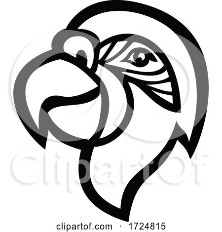 Head of Macaw Parrot Mascot Side View Black and White by patrimonio