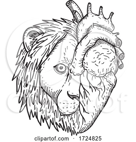 Lion Hearted Head of Half Lion and Half Human Heart Black and White Drawing by patrimonio
