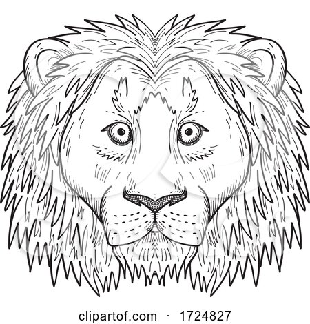 Head of a Coward and Scared Lion Front View Black and White Drawing by patrimonio
