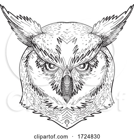 Head of Angry Great Horned Owl Tiger Owl or Hoot Owl Front Black and White Drawing by patrimonio