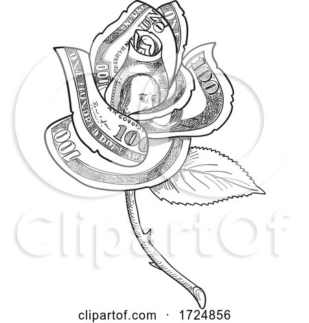 Rose Flower with Money or US One Hundred Dollar Note Bill Printed on Petals Drawing Black and White by patrimonio