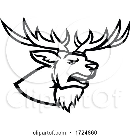 Head of a Red Deer or Cervus Elaphus Stag or Buck with Antlers Roaring Side View Mascot Black and White by patrimonio