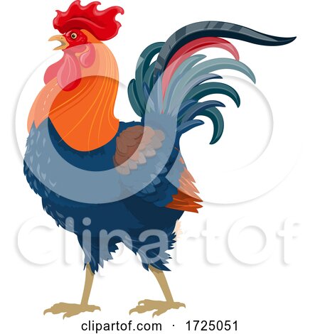 Colorful Rooster by Vector Tradition SM