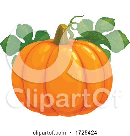 Pumpkin by Vector Tradition SM