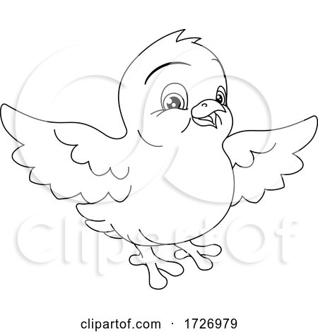 Easter Chick Coloring Book Black and White Cartoon by AtStockIllustration