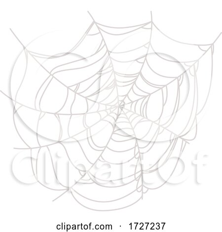 Spider Web by Vector Tradition SM