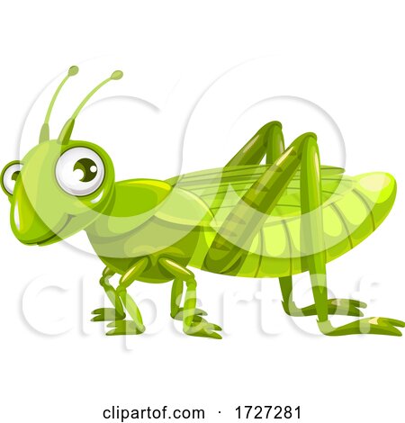 Cute Grasshopper by Vector Tradition SM