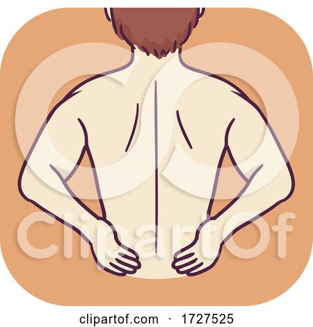 Musculoskeletal Lower Back Pain Illustration by BNP Design Studio