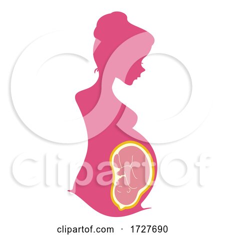 Silhouette Woman Pregnant Womb Baby Illustration by BNP Design Studio