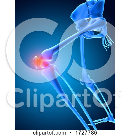 3D Medical Image of a Skeleton with Knee Bone Highlighted by KJ Pargeter