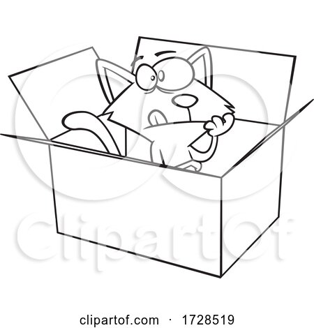 Cartoon Lineart Schrodingers Cat in a Box by toonaday