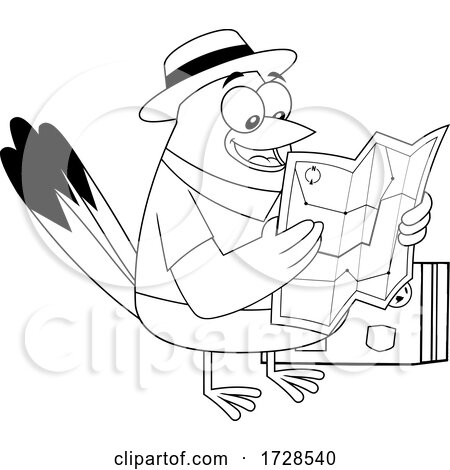 Traveling Snowbird Reading a Map by Hit Toon