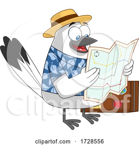 Traveling Snowbird Reading a Map by Hit Toon