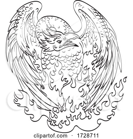 Phoenix a Mythological Bird That Cyclically Regenerates on Fire Front View Line Art Drawing Black and White by patrimonio
