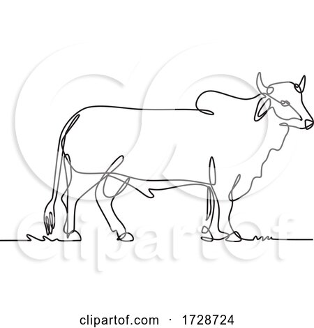 Brahman Bull Standing Side View Continuous Line Drawing Black and White Illustration by patrimonio