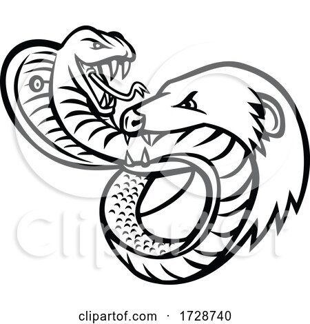 King Cobra Snake and Mongoose Fighting Biting and Attacking Mascot Retro Black and White by patrimonio