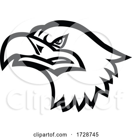 Head of a Eurasian Sea Eagle or Gray Sea Eagle Side View Mascot Black and White by patrimonio