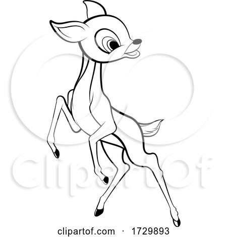 Cute Black and White Fawn Deer Jumping by Lal Perera