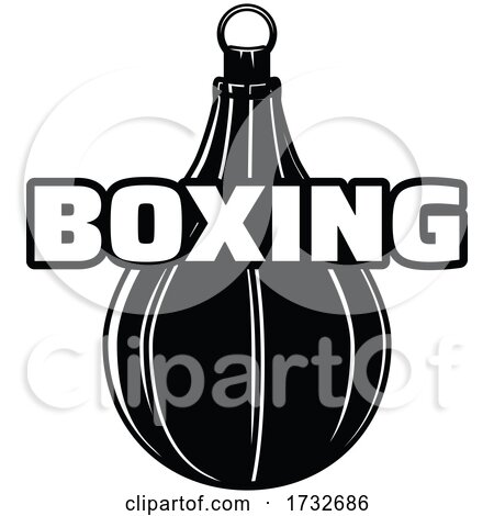 Boxing Sports Design by Vector Tradition SM