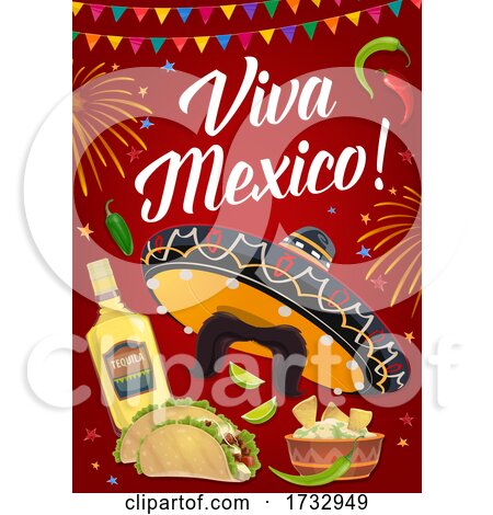 Viva Mexico by Vector Tradition SM