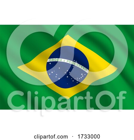 Brazilian Flag by Vector Tradition SM