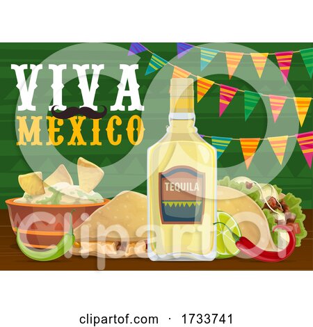 Viva Mexicao by Vector Tradition SM