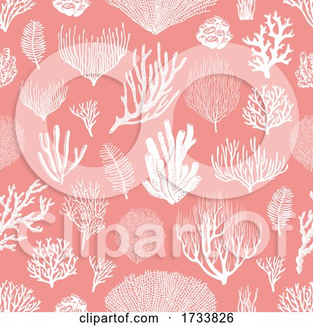 Coral Pattern by Vector Tradition SM